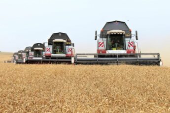В Крыму собран рекордный урожай зерна